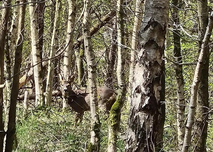 Bed & Breakfast Hof 3*