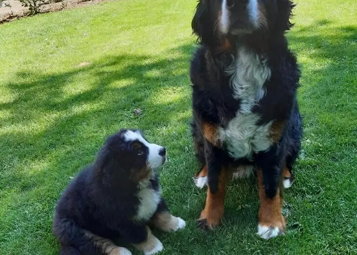 Bed & Breakfast Hof 3*